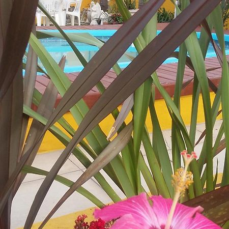 Casa Pousada Rosa Dos Ventos Florianópolis Kültér fotó
